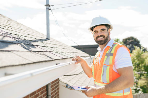 Roof Gutter Cleaning in Storm Lake, IA